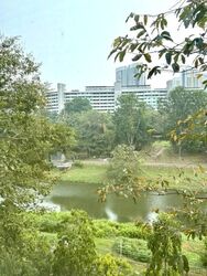 Freesia Woods (D21), Condominium #621165191